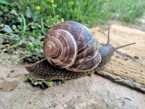 Libra Moon journal photo