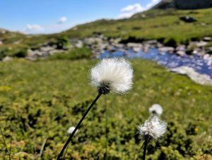 Libra Moon journal photo
