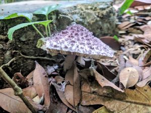 Libra Moon journal photo
