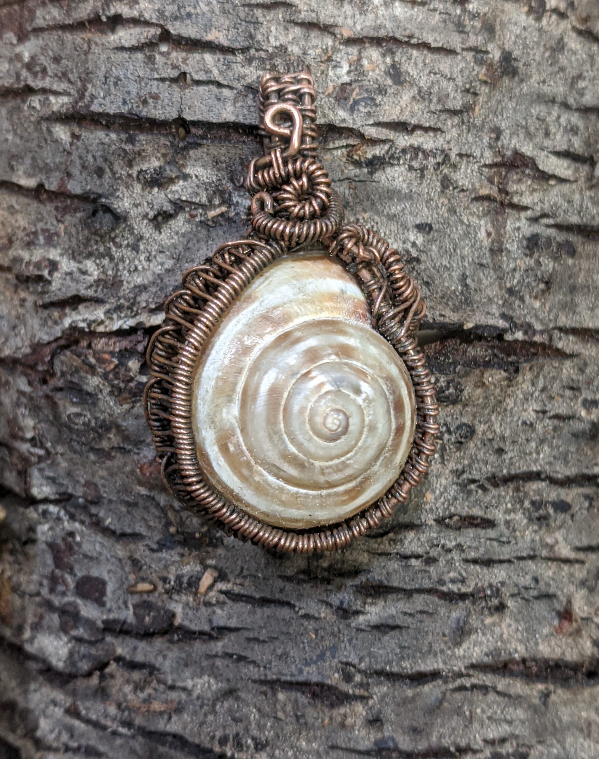 "Nomad" Happy Snails Collection - Image 6