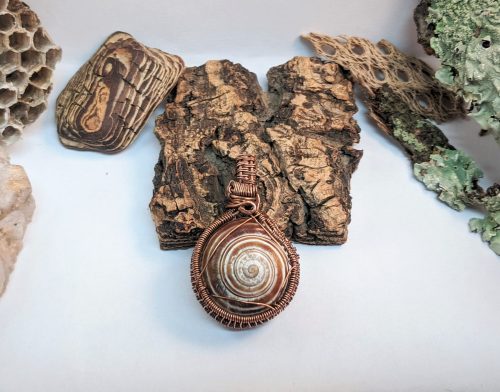 "Joy" Happy Snails Collection