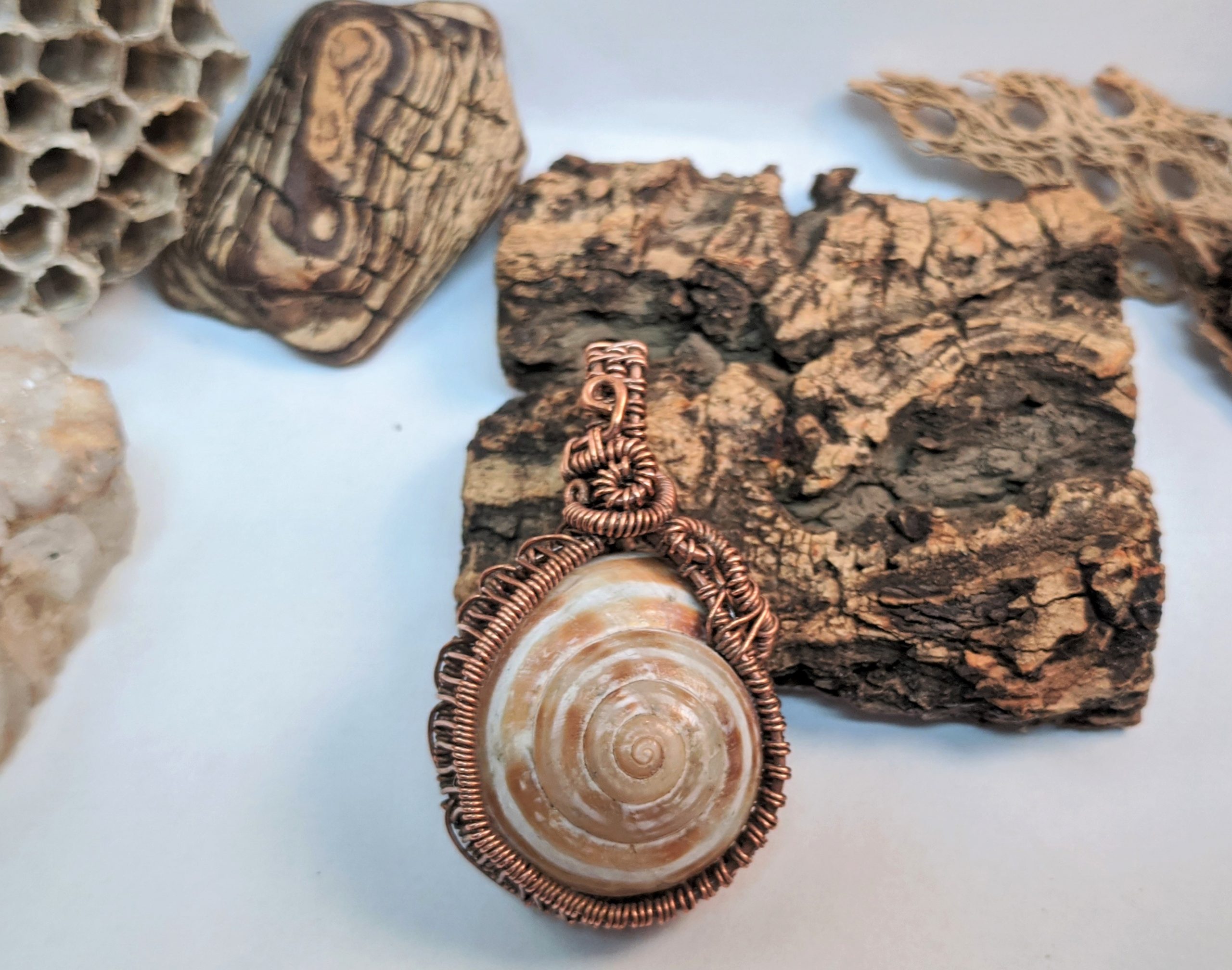 "Nomad" Happy Snails Collection