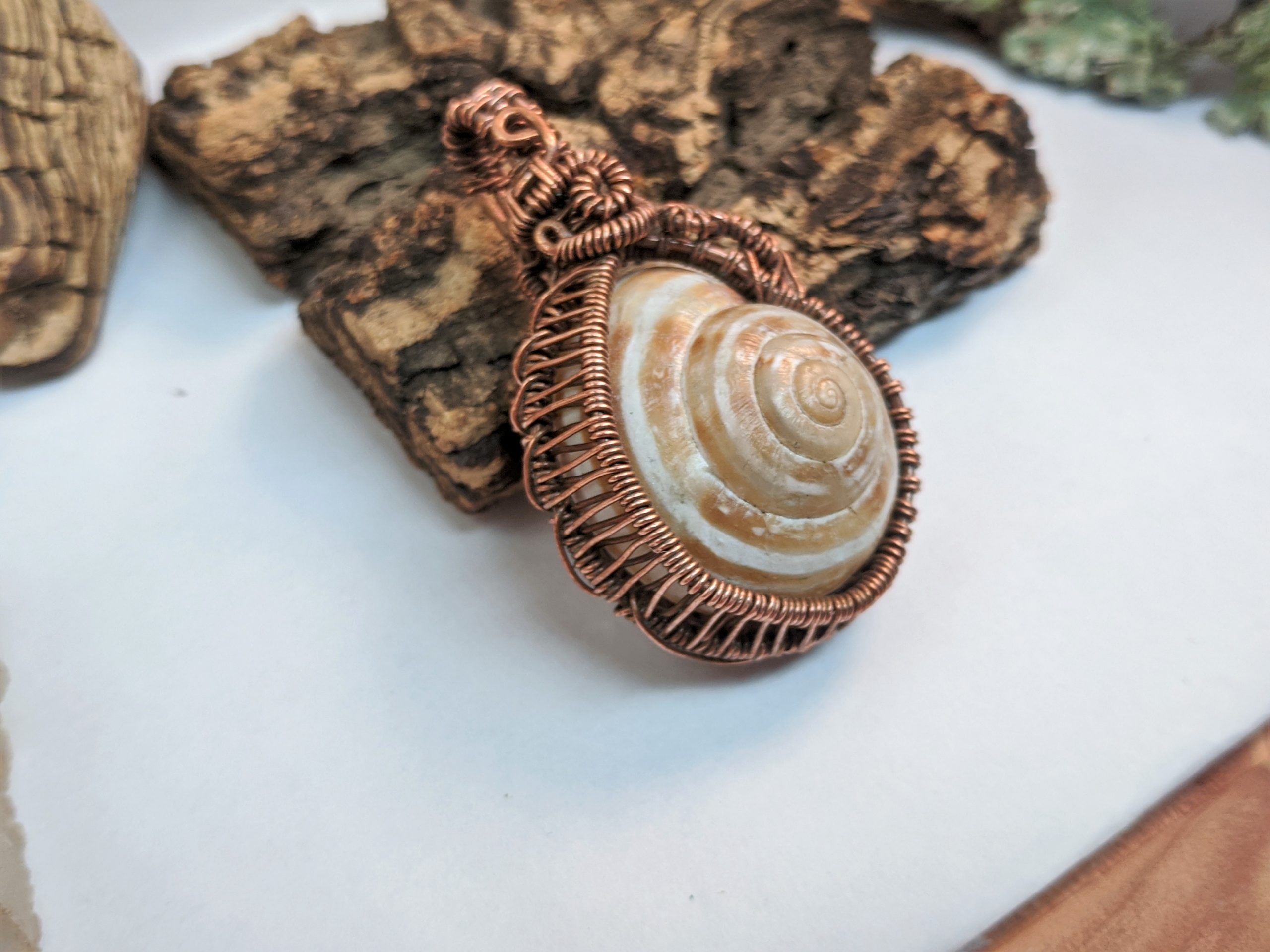 "Nomad" Happy Snails Collection - Image 3