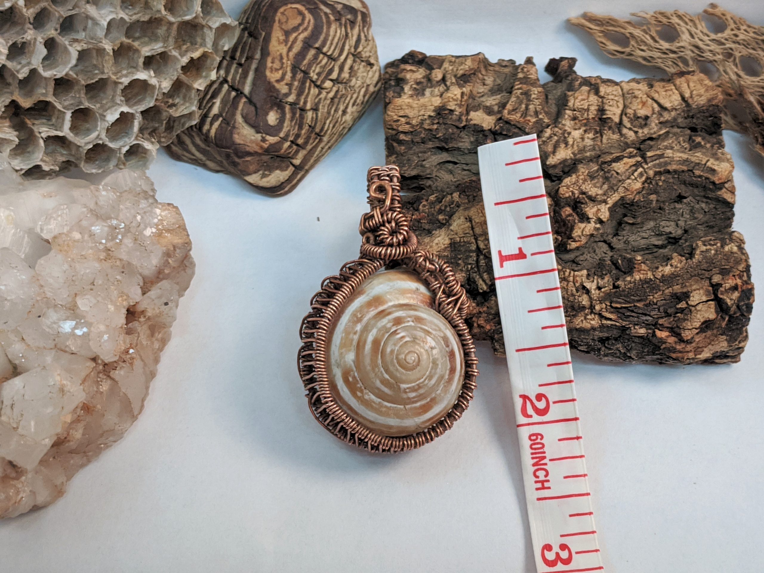 "Nomad" Happy Snails Collection - Image 5
