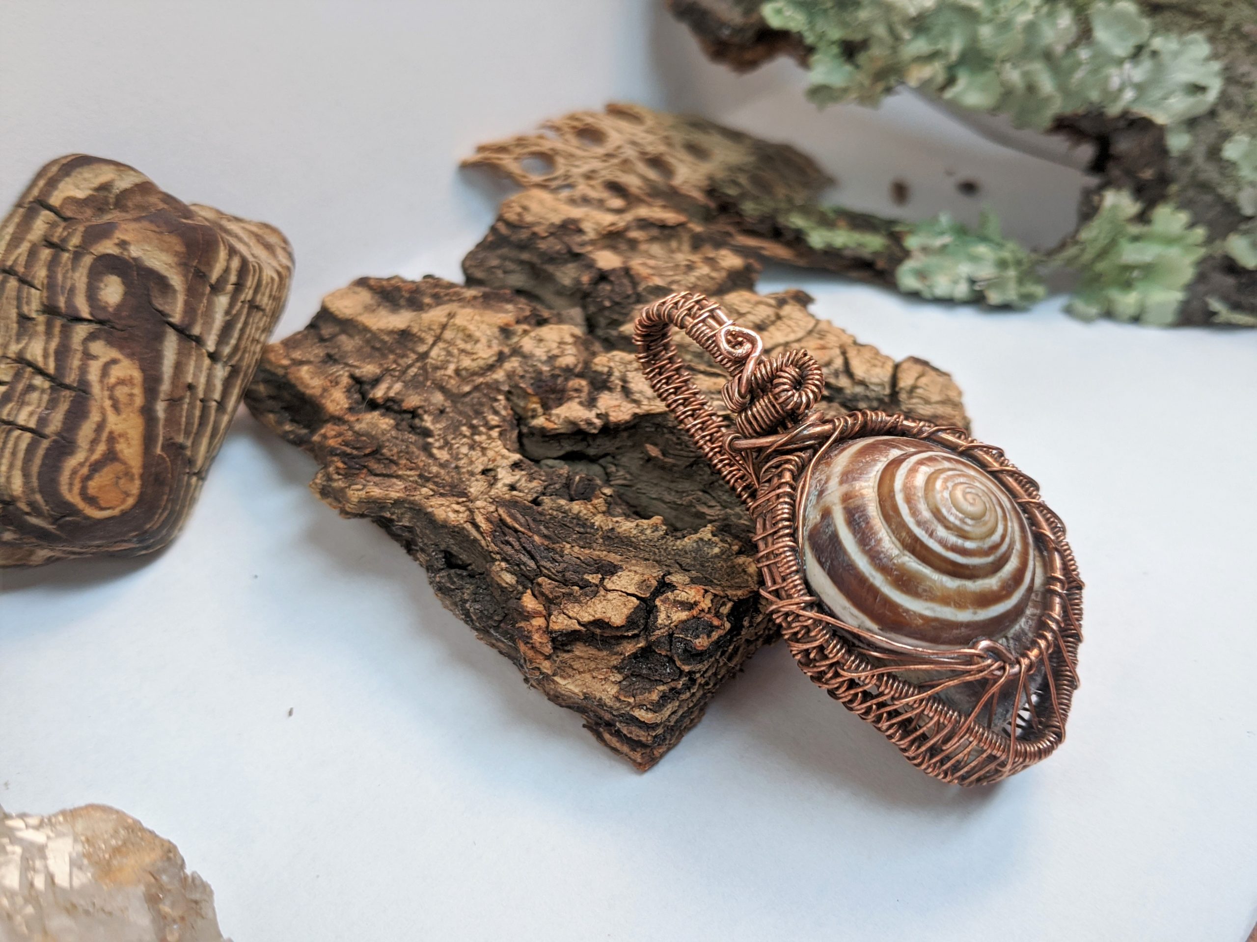 Happy Snails · "Eddy" - Image 3