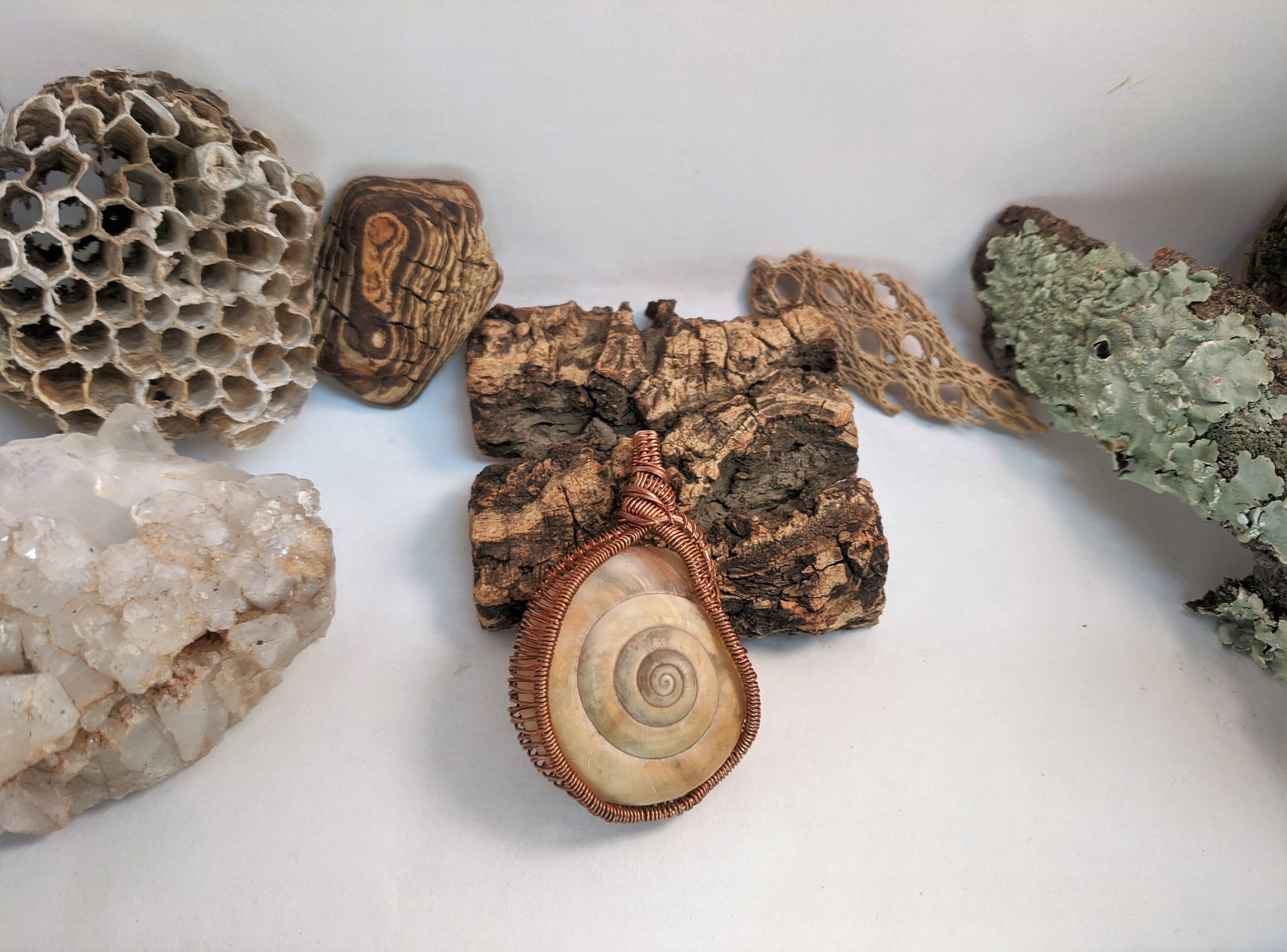 Happy Snails · "Sweetheart" - Image 2