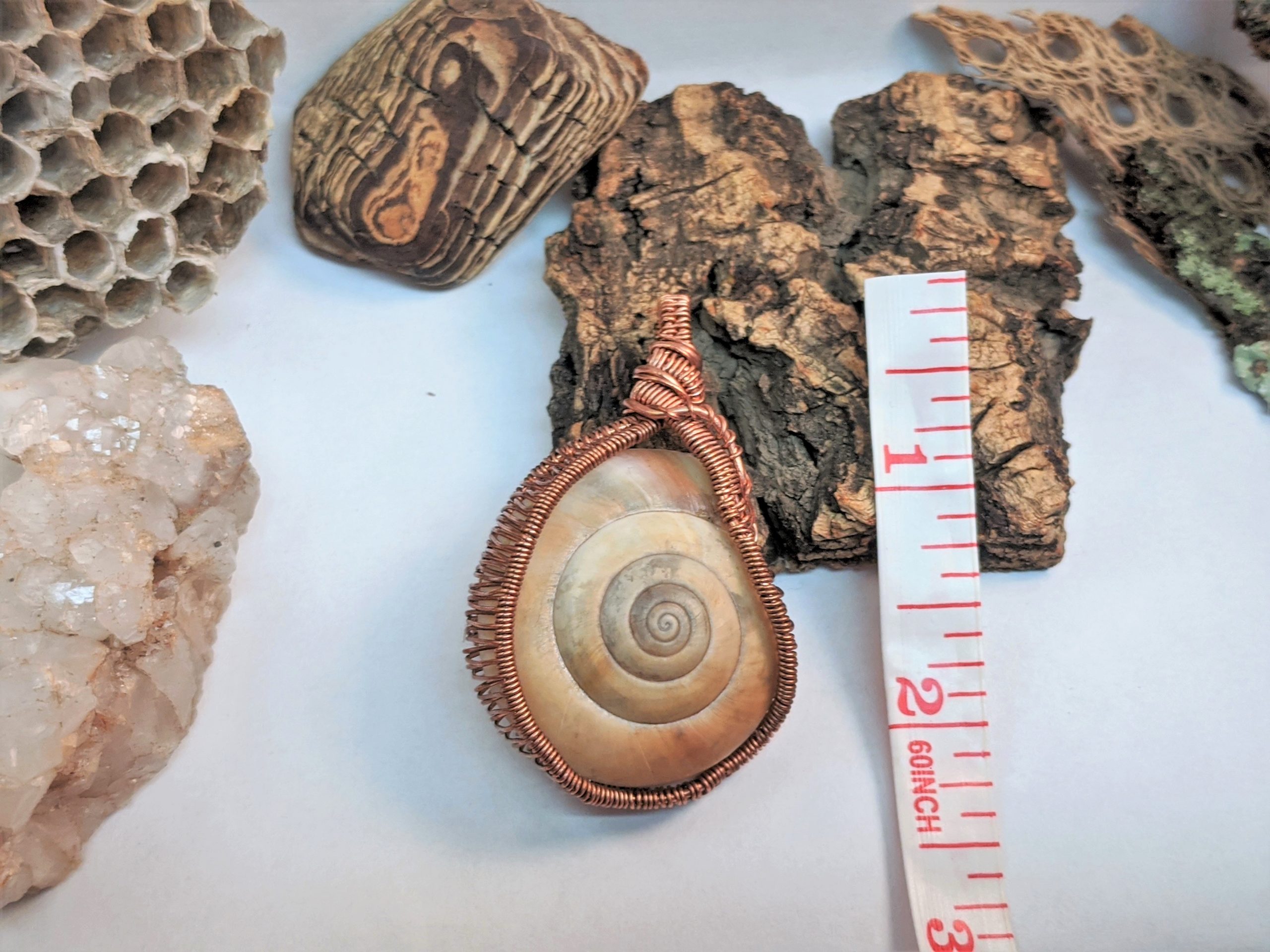 Happy Snails · "Sweetheart" - Image 5